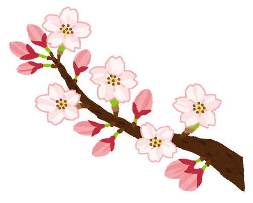 sakura 