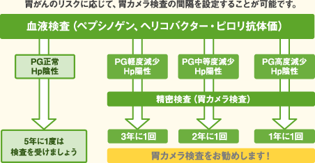 胃がんのリスクに応じて、胃カメラ検査の間隔を設定することが可能です