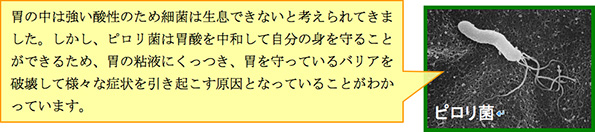 胃の中は強い酸性のため細菌は生息できないと考えられてきました。しかし、ピロリ菌は胃酸を中和して自分の身を守ることができるため、胃の粘液にくっつき、胃を守っているバリアを破壊して様々な症状を引き起こす原因となっていることがわかっています。
