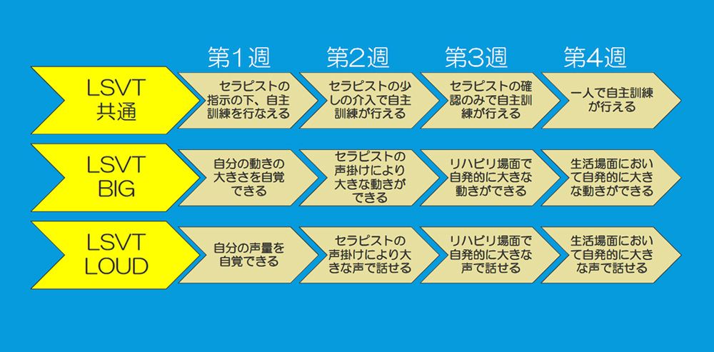 LSVT BIG®・LSVT LOUD®の訓練スケジュール