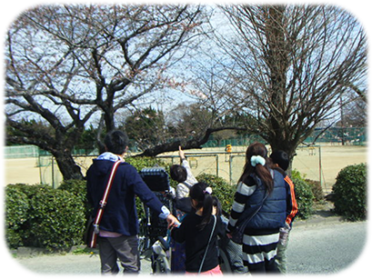 今年もお花見の季節