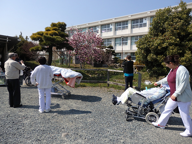 2017年わかば通信5月号