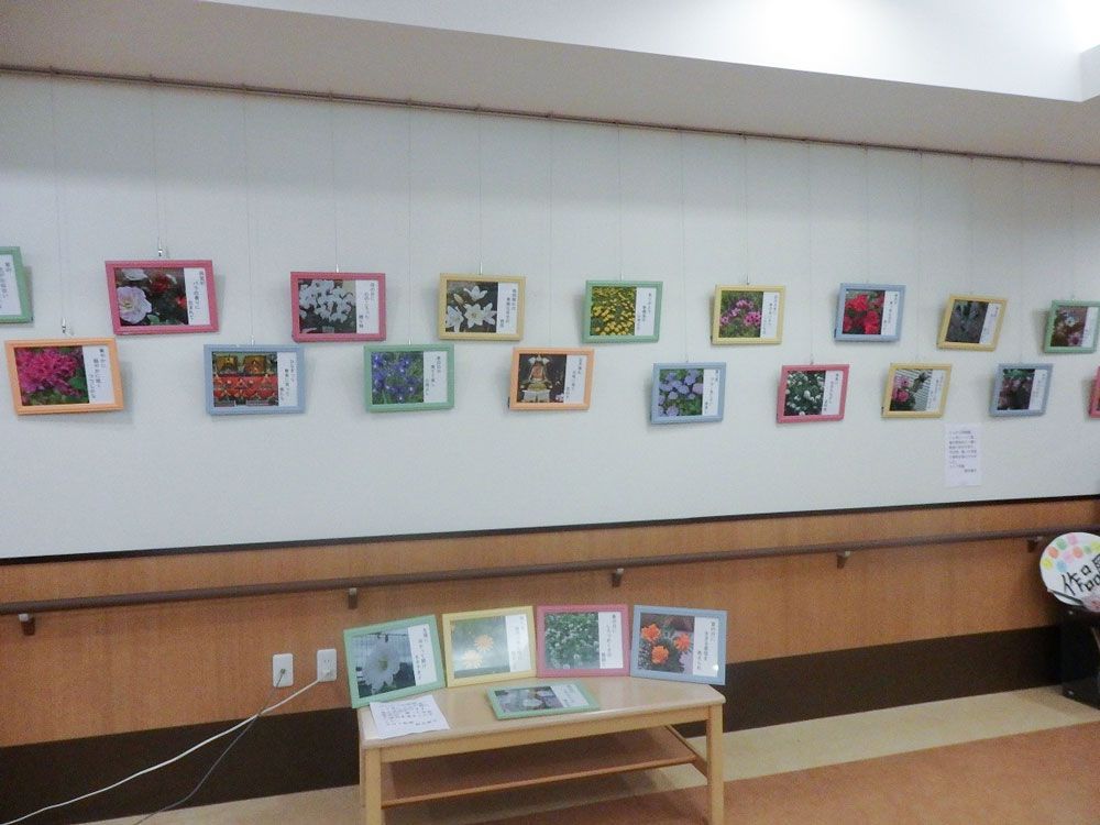 2019年わかば通信11月号