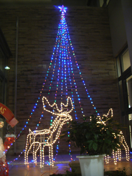 クリスマスツリー1