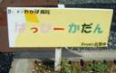 はっぴーかだん