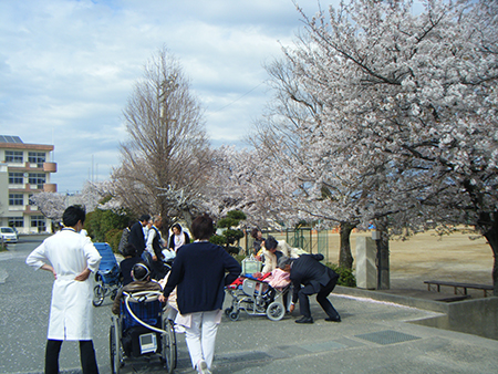 お花見に行きました