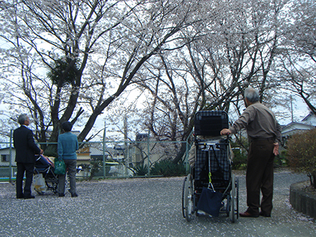お花見に行きました