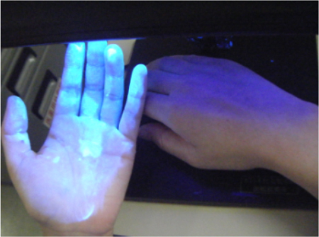 (A)青く光っている部分に病原菌がついていると過程します。