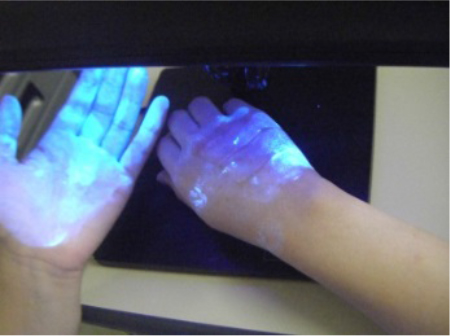 (C)病原菌がついていなかった清潔な手が汚染されてしまいました。