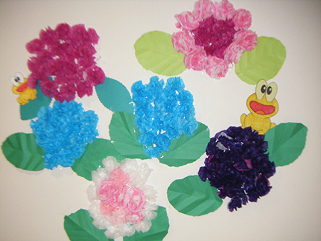 紫陽花とカエル